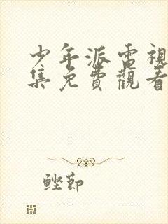 少年派电视剧全集免费观看完整版