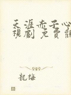 天涯赤子心 电视剧 免费观看