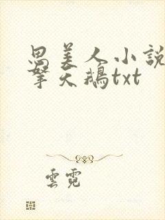 思美人小说海青拿天鹅txt