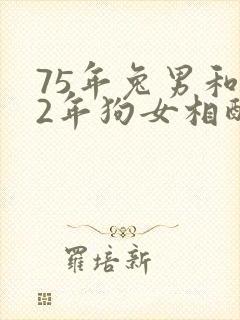 75年兔男和82年狗女相配婚姻如何