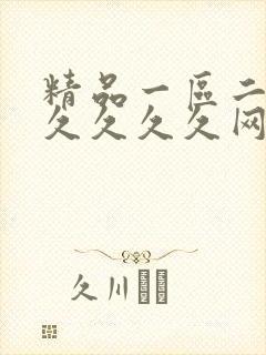 精品一区二区久久久久久网精