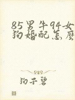 85男牛94女狗婚配怎么样