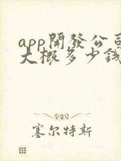 app开发公司大概多少钱