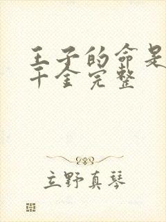 王子的命是恶役千金完整