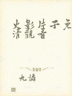 火影片子免费高清观看封面