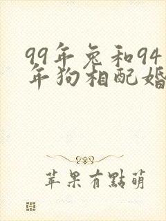 99年兔和94年狗相配婚姻如何