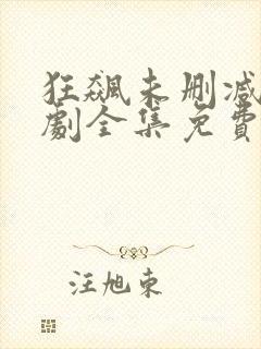 狂飙未删减电视剧全集免费播放43集在线观看