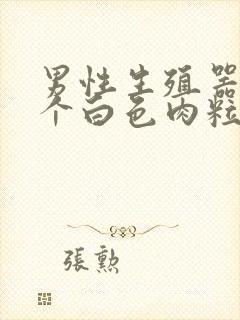 男性生殖器长出个白色肉粒是怎么了