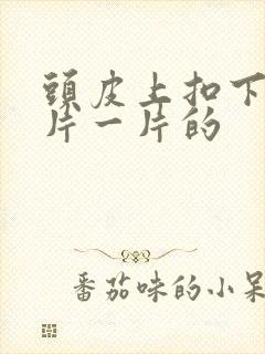 头皮上扣下来一片一片的封面