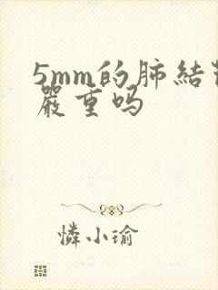 5mm的肺结节严重吗