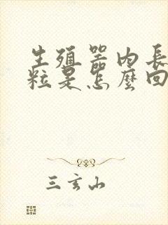 生殖器内长小肉粒是怎么回事