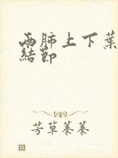 两肺上下叶散在结节