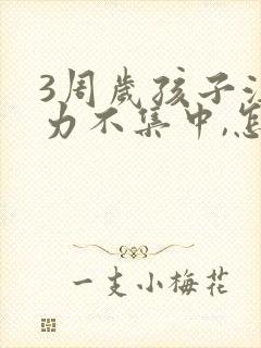 3周岁孩子注意力不集中,怎么培养专注力