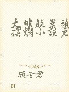 大明朕崇祯只想摆烂小说免费封面