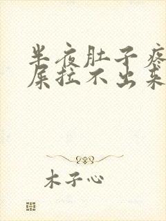 半夜肚子疼想拉屎拉不出来怎么回事