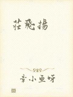 庄飞扬封面