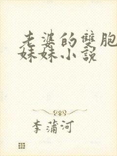 老婆的双胞胎表妹妹小说