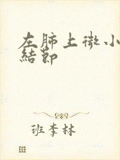 左肺上微小钙化结节