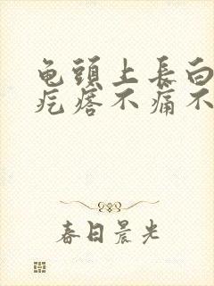 龟头上长白色小疙瘩不痛不痒封面