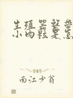 生殖器系带上有小肉粒是怎么回事