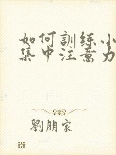 如何训练小孩的集中注意力