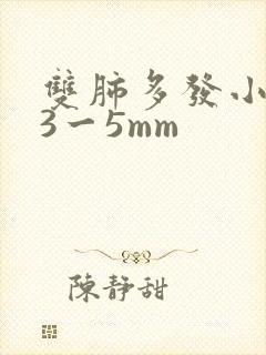 双肺多发小结节3一5mm