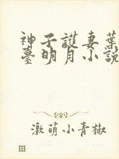 神子护妻叶玄澹台明月小说封面