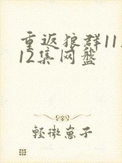 重返狼群11集12集网盘