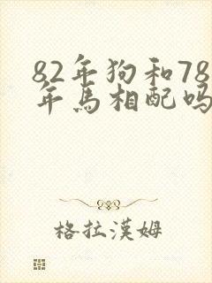 82年狗和78年马相配吗封面