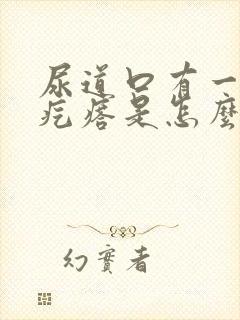 尿道口有一个小疙瘩是怎么回事封面