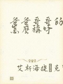 爸爸哥哥的儿子怎么称呼