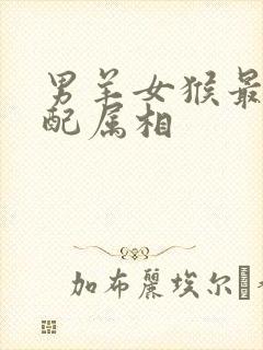 男羊女猴最佳婚配属相封面