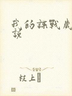 我的谍战岁月小说