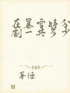 在暴雪时分电视剧一共多少集