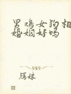 男鸡女狗相配的婚姻好吗