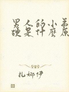 男人的小弟弟不硬是什么原因封面