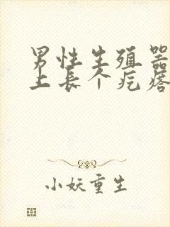 男性生殖器包皮上长个疙瘩