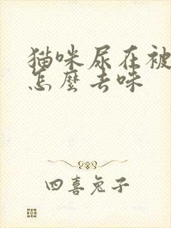 猫咪尿在被子上怎么去味封面