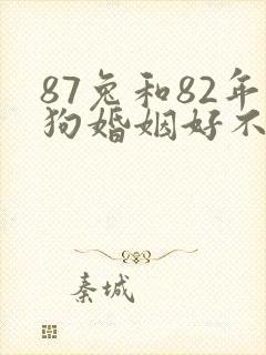 87兔和82年狗婚姻好不好封面