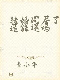 结婚同居了彩礼还能退吗