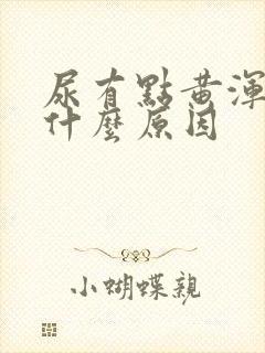 尿有点黄浑浊是什么原因