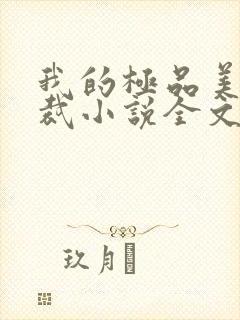 我的极品美女总裁小说全文免费阅读