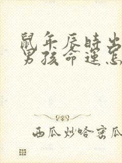 鼠年辰时出生的男孩命运怎么样