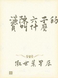 演陈六子的小演员叫什么封面