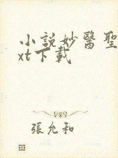 小说妙医圣手txt下载