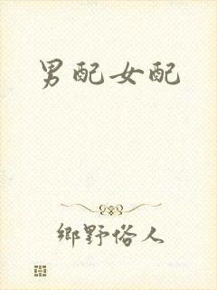 男配女配封面