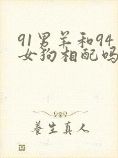 91男羊和94女狗相配吗封面