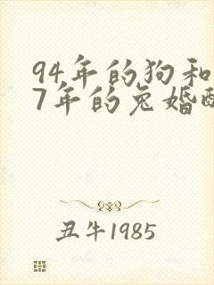 94年的狗和87年的兔婚配合适吗?