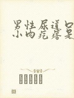 男性尿道口长个小肉疙瘩是怎么回事封面