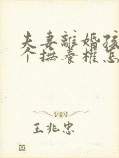 夫妻离婚孩子两个抚养权怎么判定